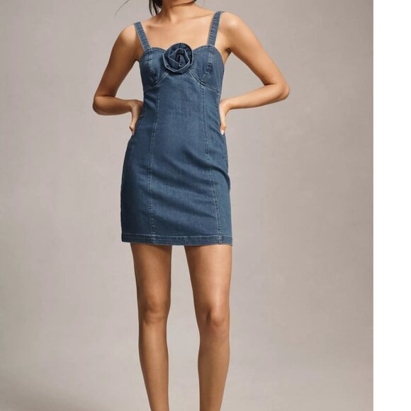 Porridge Rosette Denim Slim Mini Dress - Picture 1 of 8